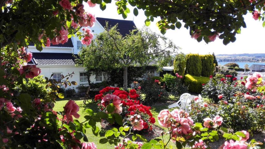 Phoenix Thermal Resort - Taupo - Resim 14