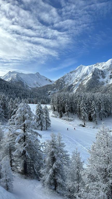 un groupe de personnes skier sur une montagne enneigée dans l'établissement Grand studio 4 pers au pied des pistes - Wifi - parking, aux Orres