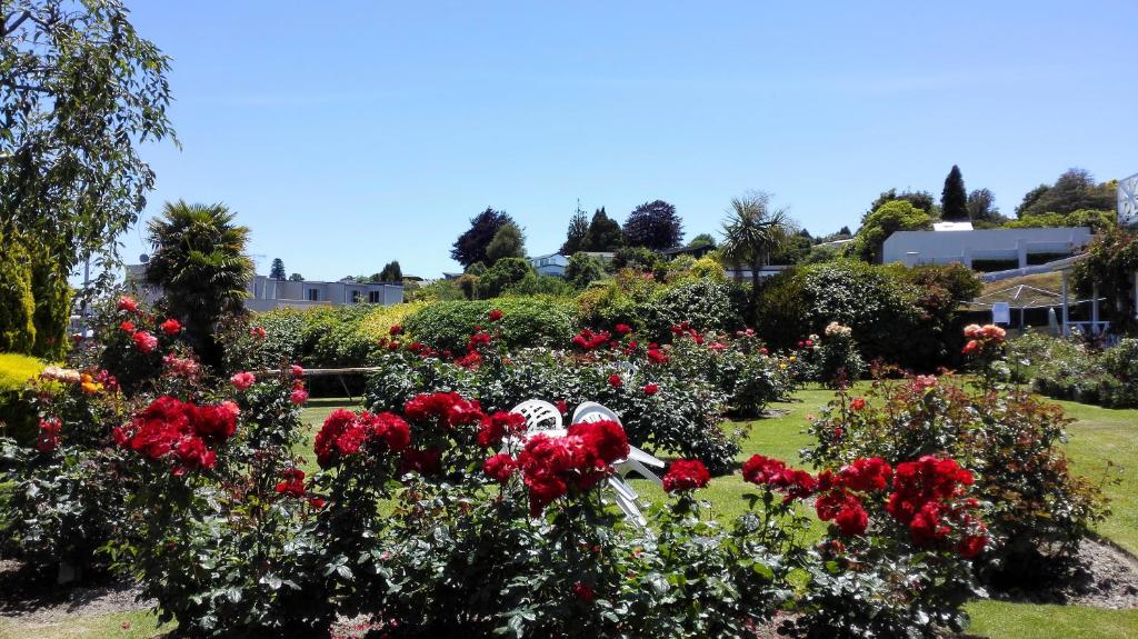 Phoenix Thermal Resort - Taupo - Resim 25