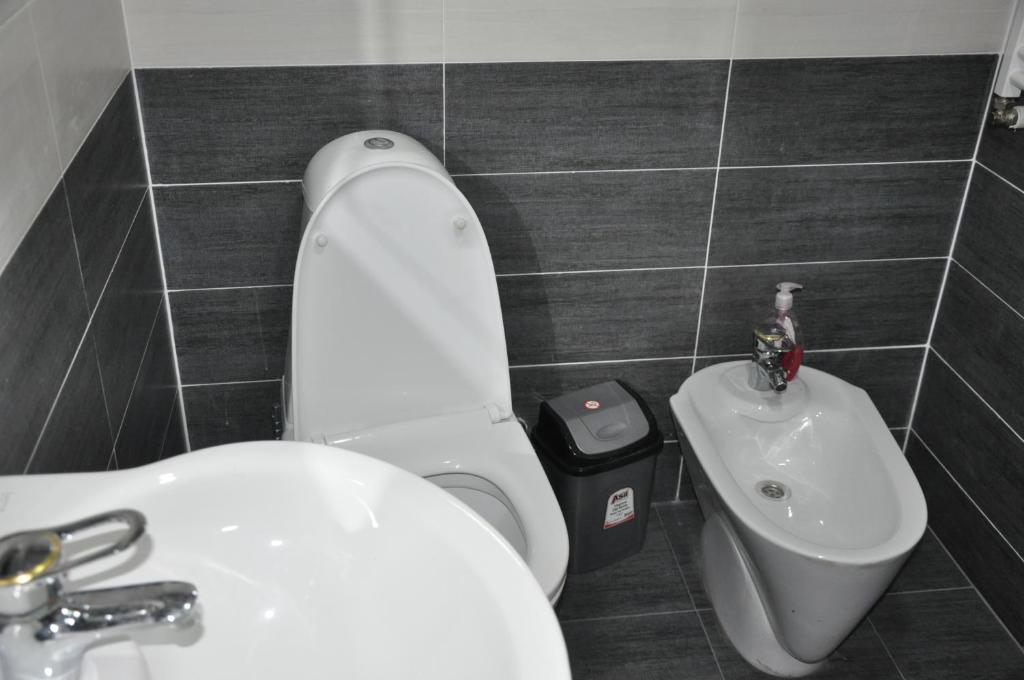 Koupelna v ubytování Guesthouse David Zhorzholiani