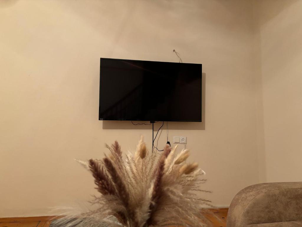 TV a/nebo společenská místnost v ubytování Mirzahouse
