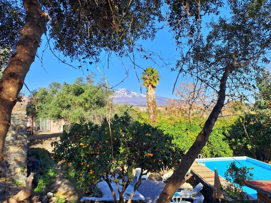 a view of a resort with a palm tree and a pool at L'Aranceto in Acireale