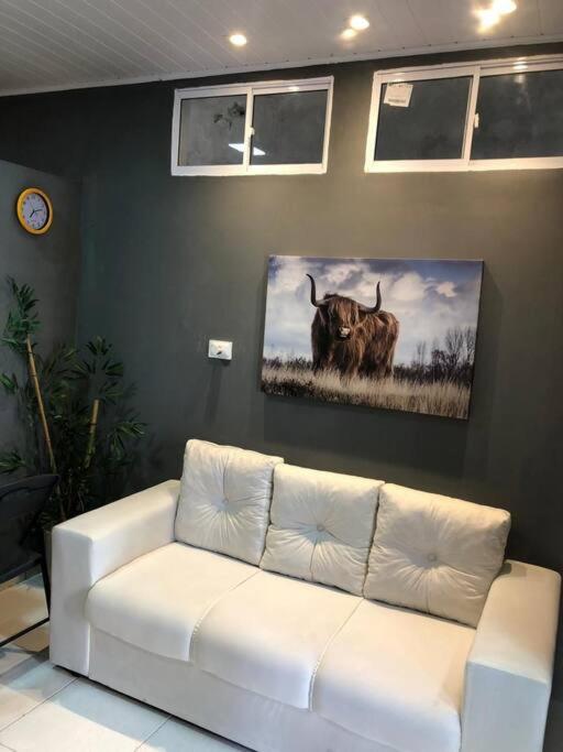 a white couch in a living room with a picture of a cow at Portuga Flat - Olinda in Olinda