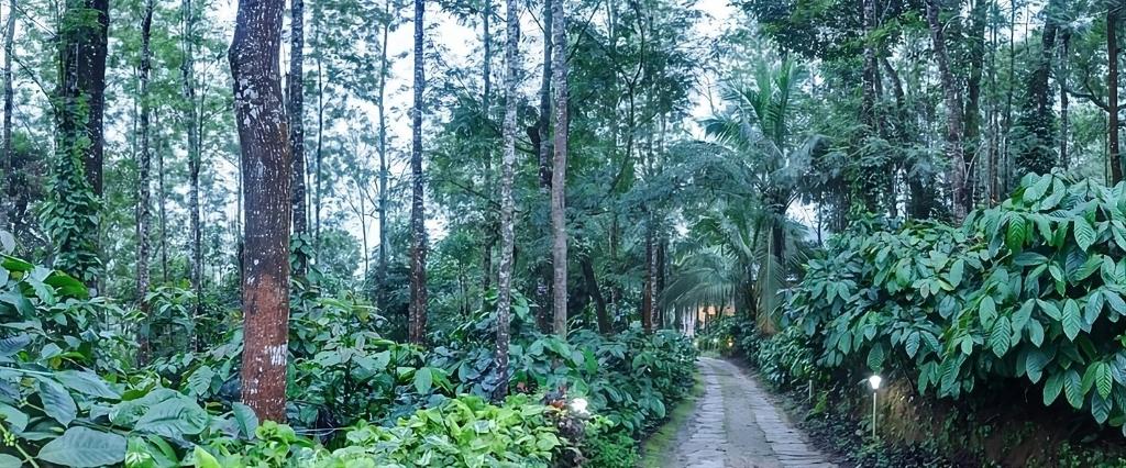 Zahrada ubytování Royal Woods Coorg