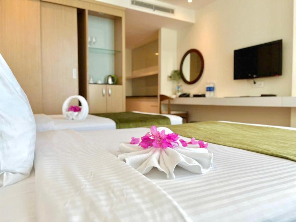 Studio Nhìn Ra Biển