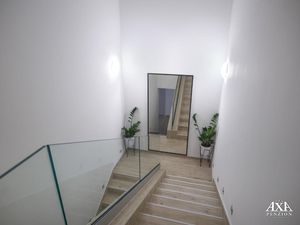 Fotografie z fotogalerie ubytování Penzion Axa v destinaci Hradec Králové
