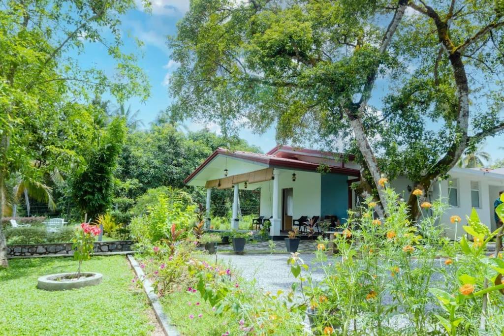 Zahrada ubytování Tranquillity Villa