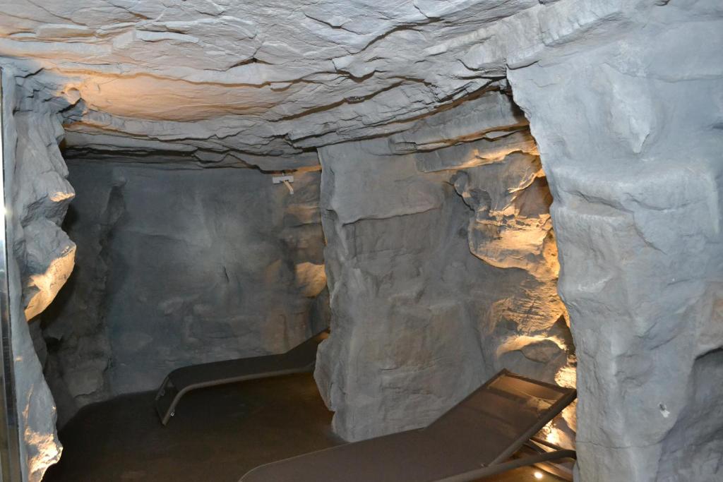 Nendaz 4 Vallées & SPA 4* Superior - Resim 38