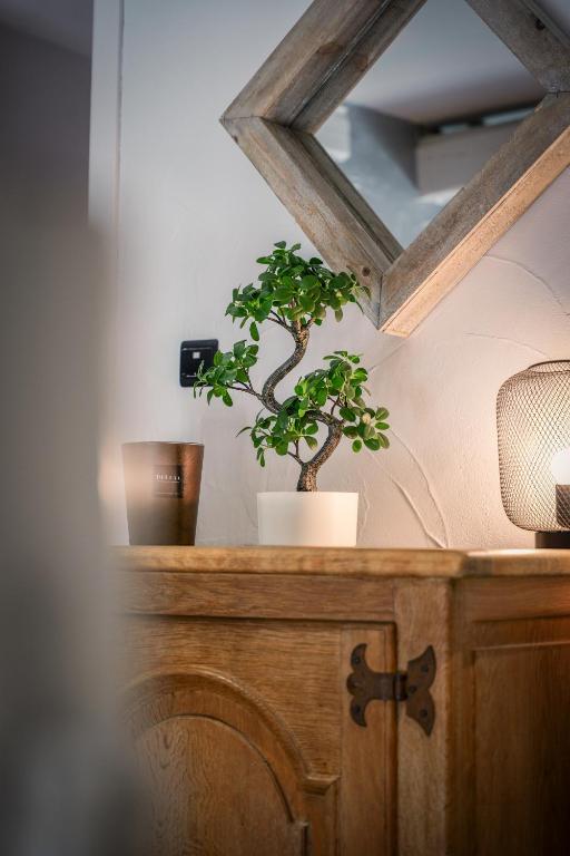 Fotografie z fotogalerie ubytování Gîte la casa del cookie v destinaci Chimay