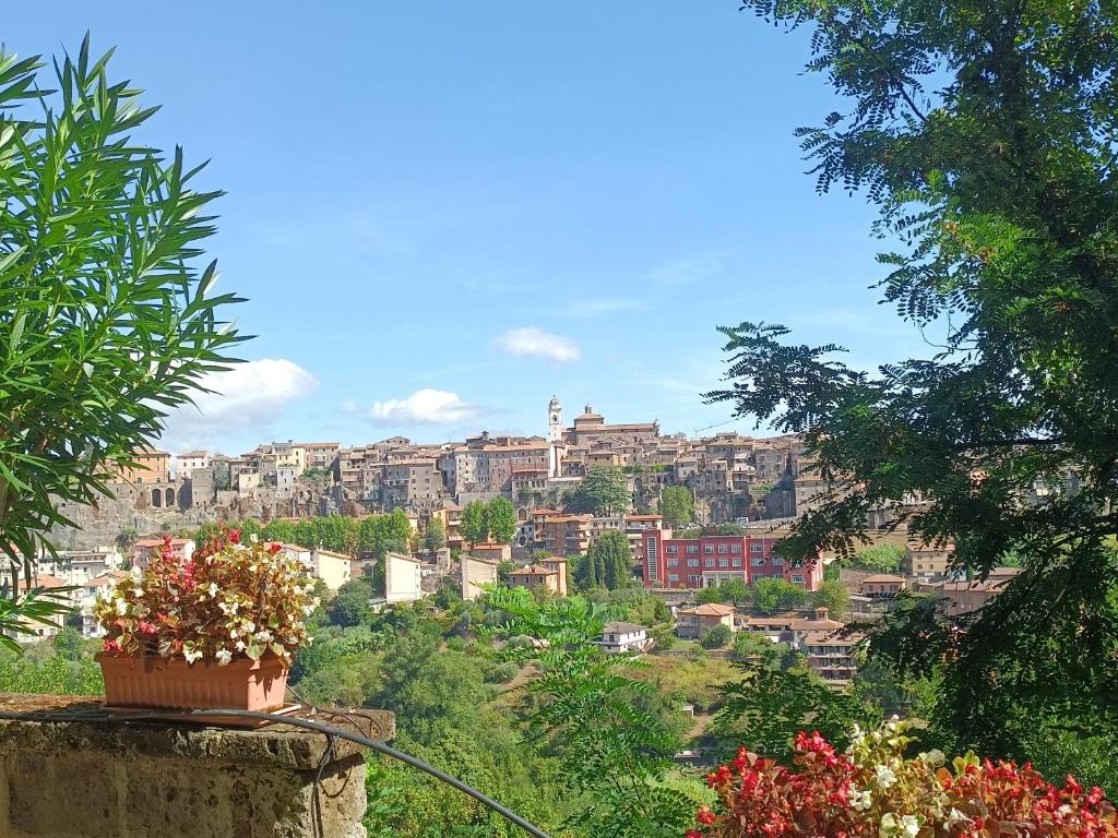 Paesaggio naturale nelle vicinanze della casa vacanze