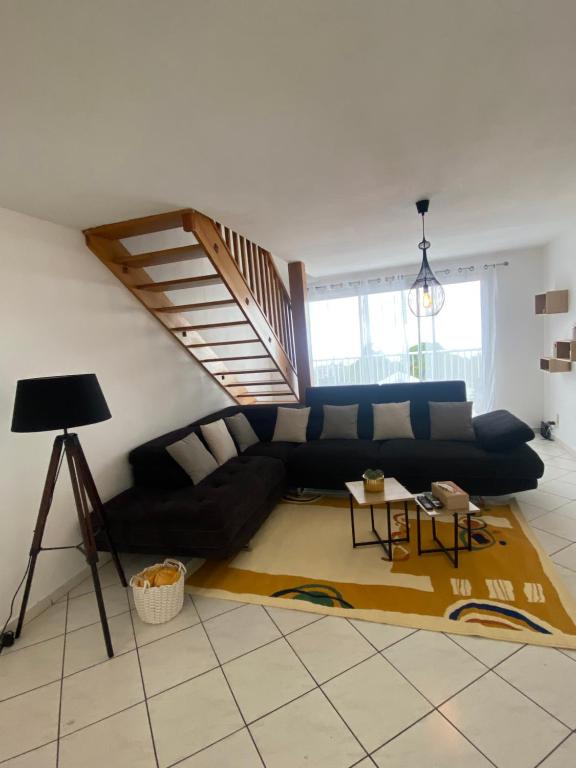 Le Carpe diem - Hizvo