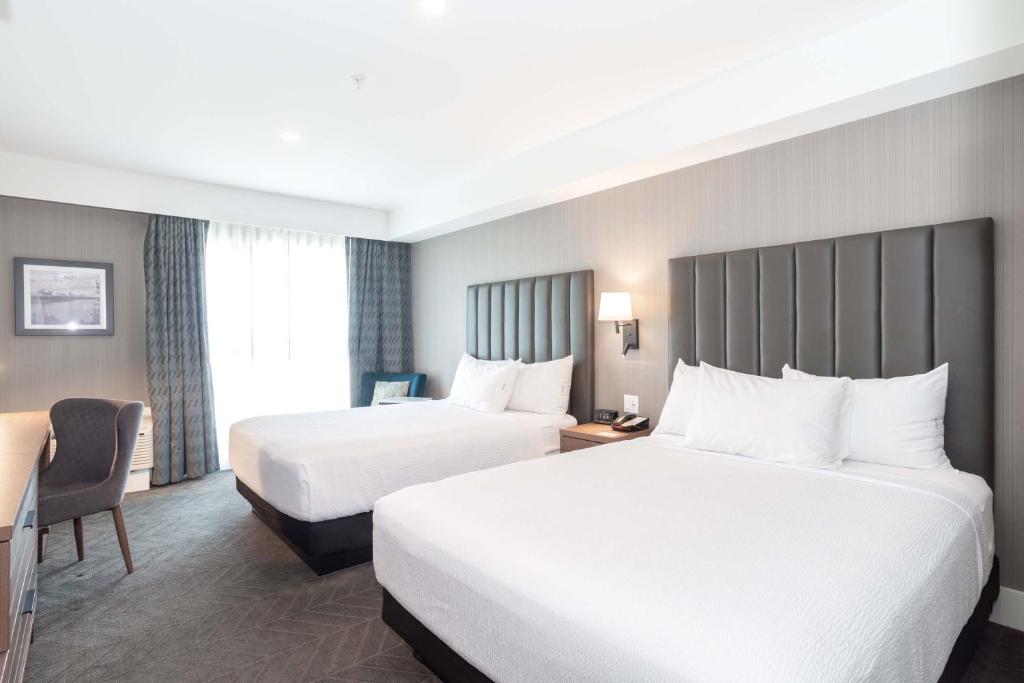 
Standard Room, 2 Queen Beds
