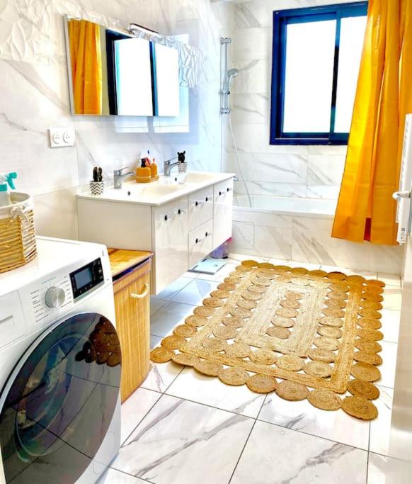 une salle de bain avec un lavabo et une machine à laver dans l'établissement Toulouse vaste appartement très lumineux, à Toulouse