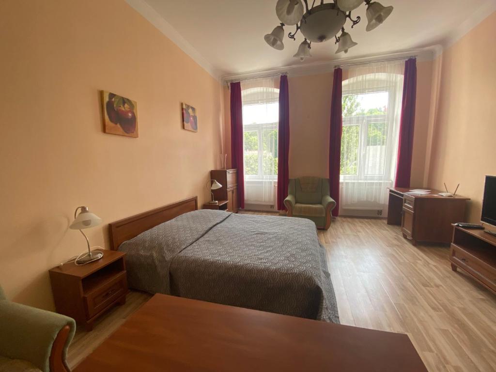 1 dormitorio con 1 cama, TV y 2 ventanas en Apartments Zahradní, en Karlovy Vary