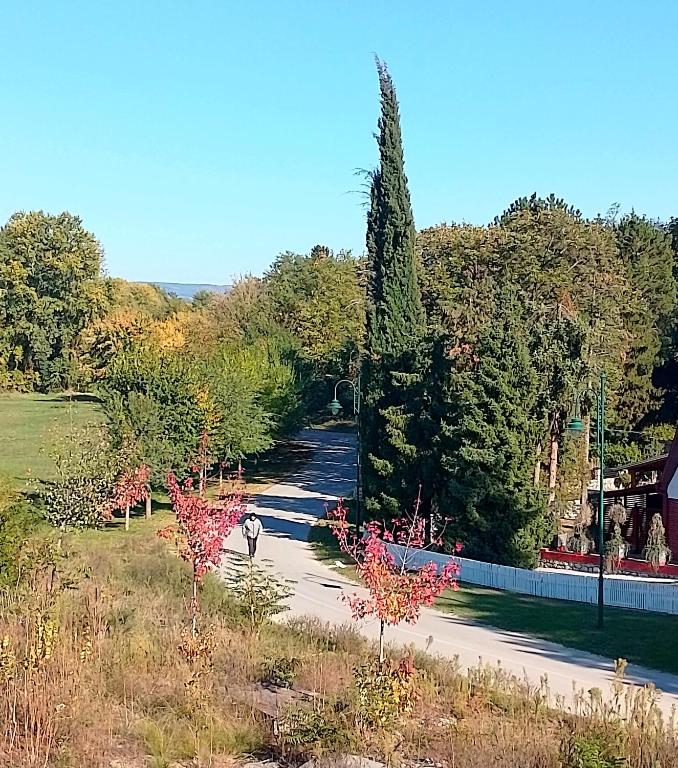 Priroda u blizini apartmana
