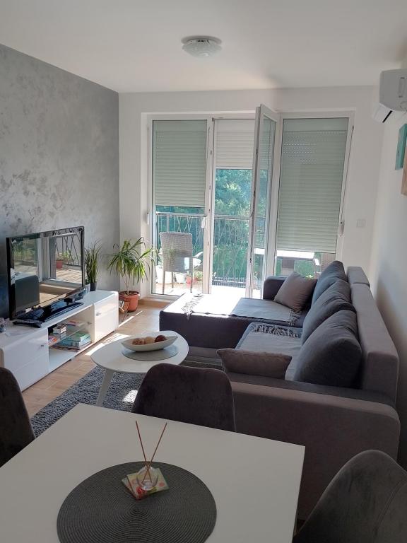 TV i/ili multimedijalni sistem u objektu Apartman ELIT Srebrno jezero