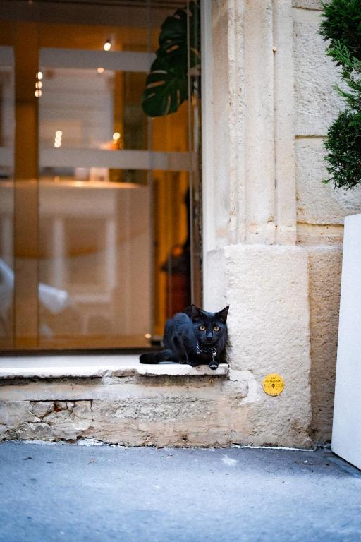 Hôtel Vendome Saint-Germain - Resim 27