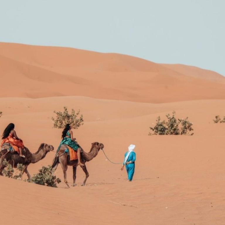 Hosté ubytování unique Sahara Camp