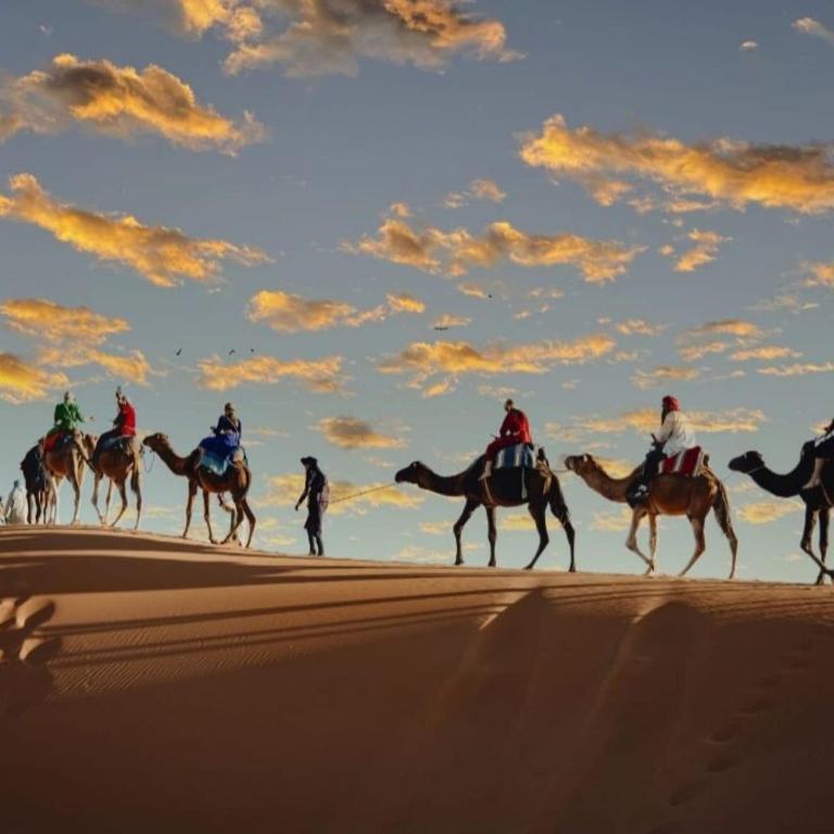 Hosté ubytování unique Sahara Camp