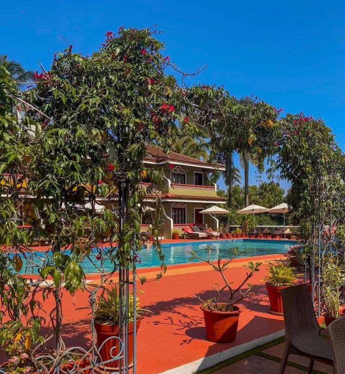 Bazén v ubytování Skylark Resort nebo v jeho okolí