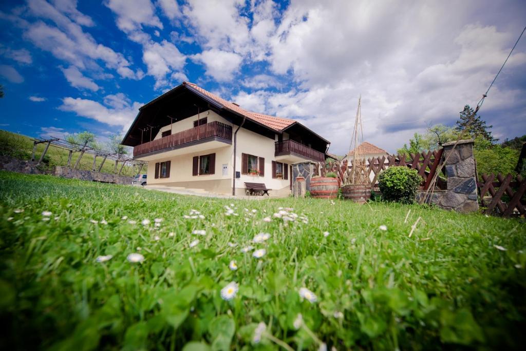 a house on a hill with a field of grass at Farm Stay Žagar in Mozirje