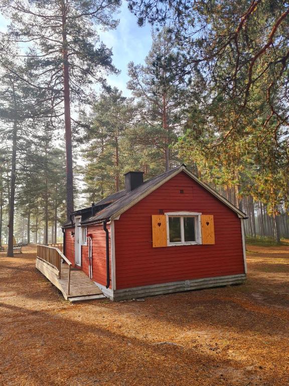 a small red cabin in the middle of a forest at Stuga ROS Naturcamping Lagom in Gräsmark