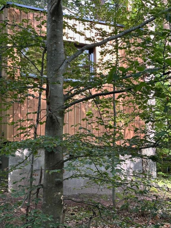 Zahrada ubytování Sous Les Pins