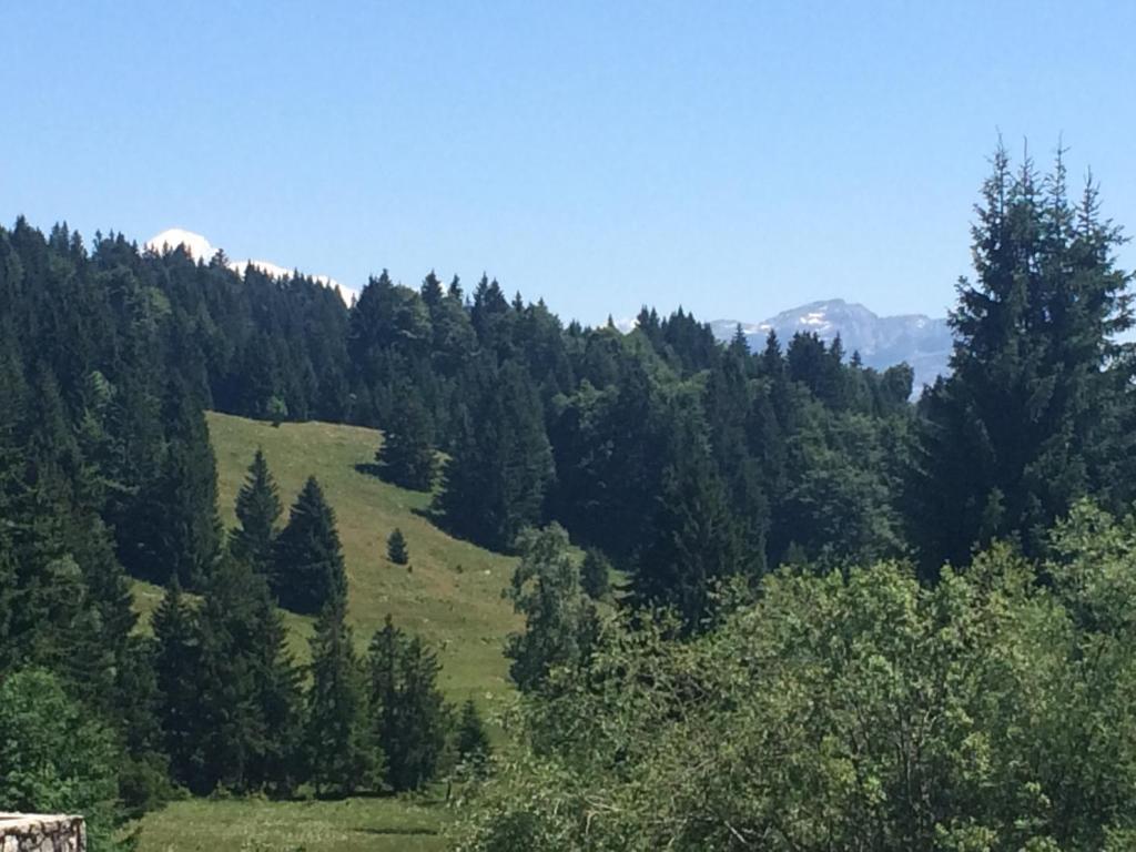 Appartement Le Praz De Lys