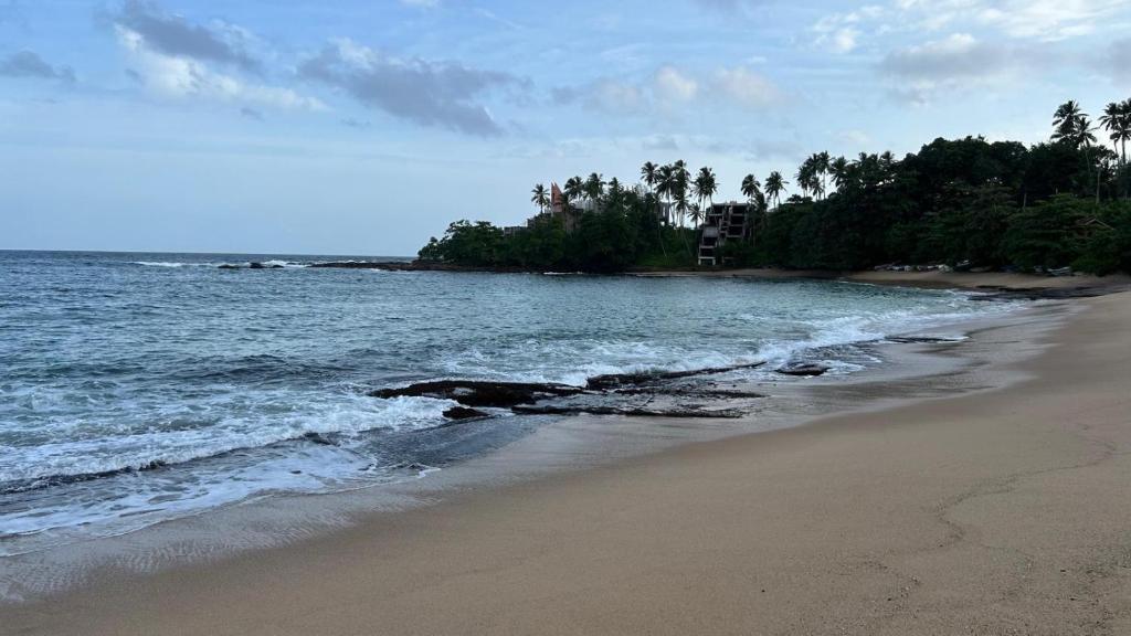 una playa con el océano y árboles en el fondo en Richard Home Stay, en Tangalle