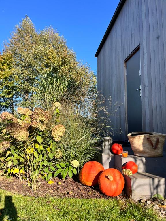 Imagen de la galería de Niebieski Domek nad jeziorem Mazurskie klimaty, en Pogubie Tylne