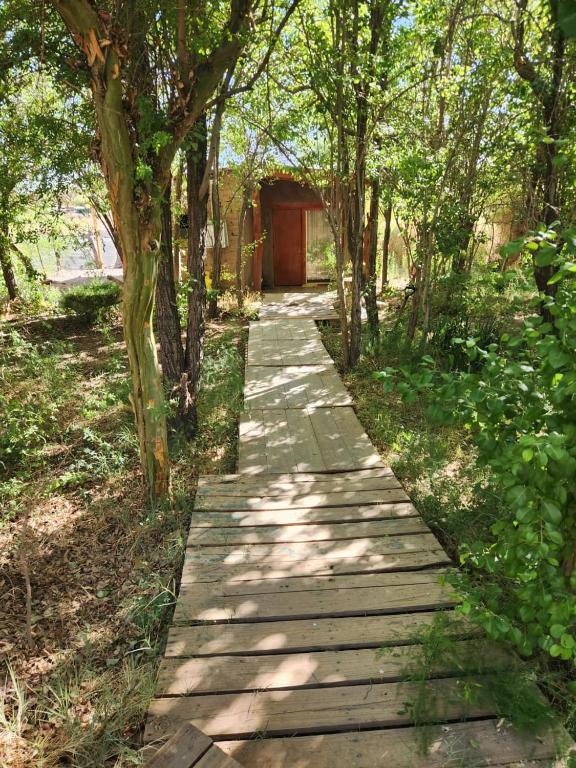 Hospedaje Rural Casa de Felix - Bungalow Met Uitzicht Op De Tuin