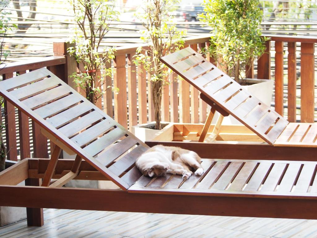 Chommuang Guest House - 6