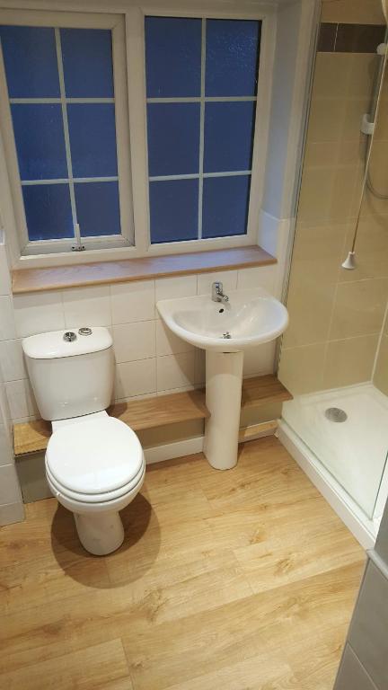 a bathroom with a toilet and a sink at Small double room Bromborough Wirral in Bromborough