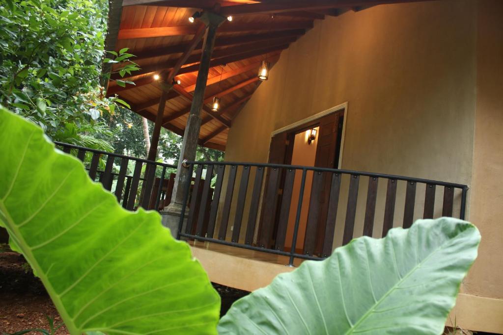 a large green leaf in front of a house at Guruwaththa Eco Lodge in Hikkaduwa