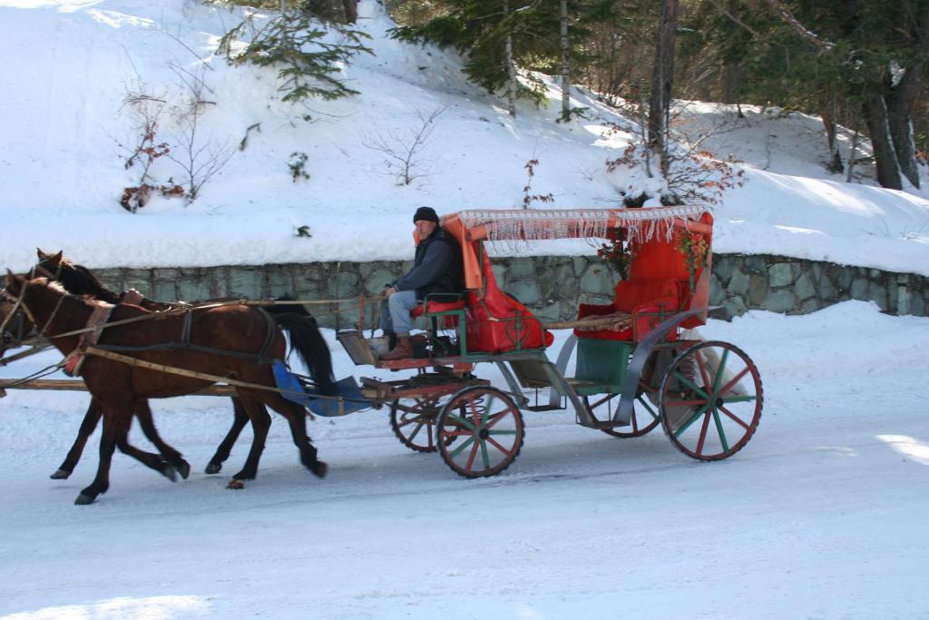 a man riding a horse drawn carriage in the snow at Abant Kosk Oteli in Abant