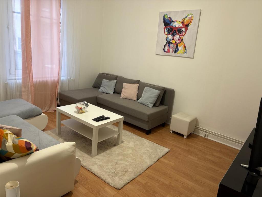 un salon avec un canapé et une table dans l'établissement Appart F2, à Bischheim