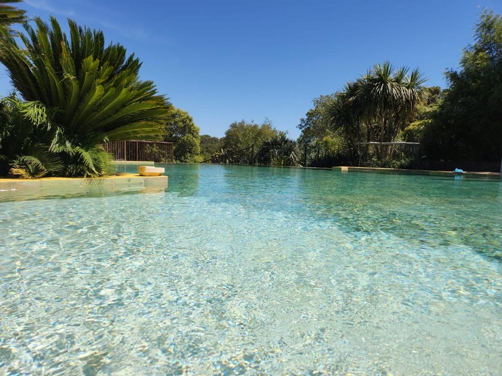 una piscina di acqua cristallina con palme di Villa - Domaine à GRANS grande demeure 6 à 12pers a Grans