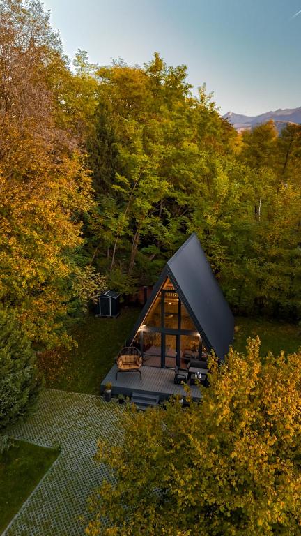 an overhead view of a house in the woods at Aret House in Avrig