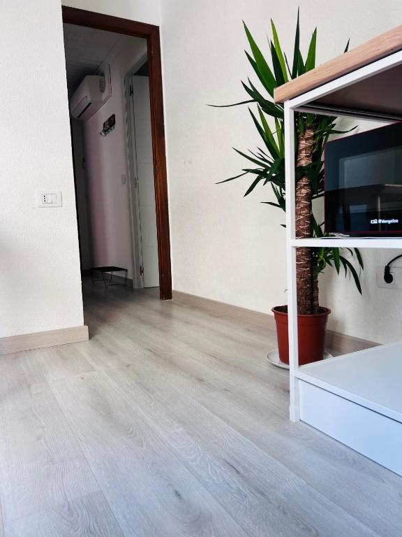 La Familia, Castellon - 19