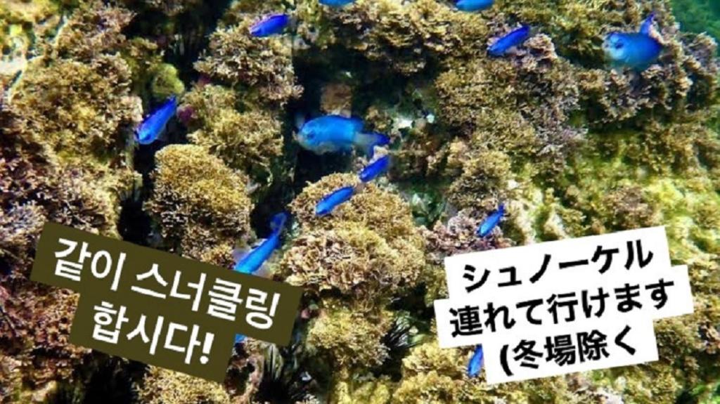Fotografie z fotogalerie ubytování Plage Yuigahama v destinaci Kamakura