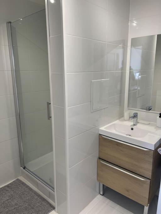 Koupelna v ubytování Appartement berges Oise