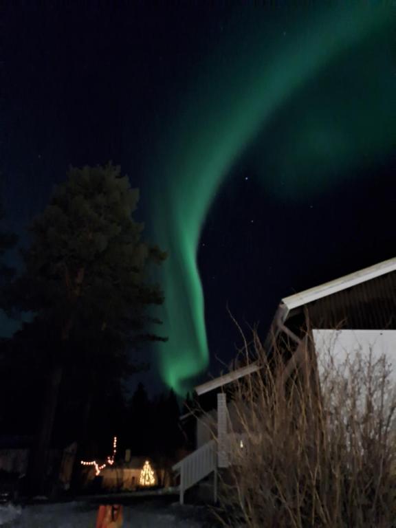 ein Polarlicht am Himmel über einem Haus mit einem Baum in der Unterkunft Traditional House Rovaniemi in Rovaniemi