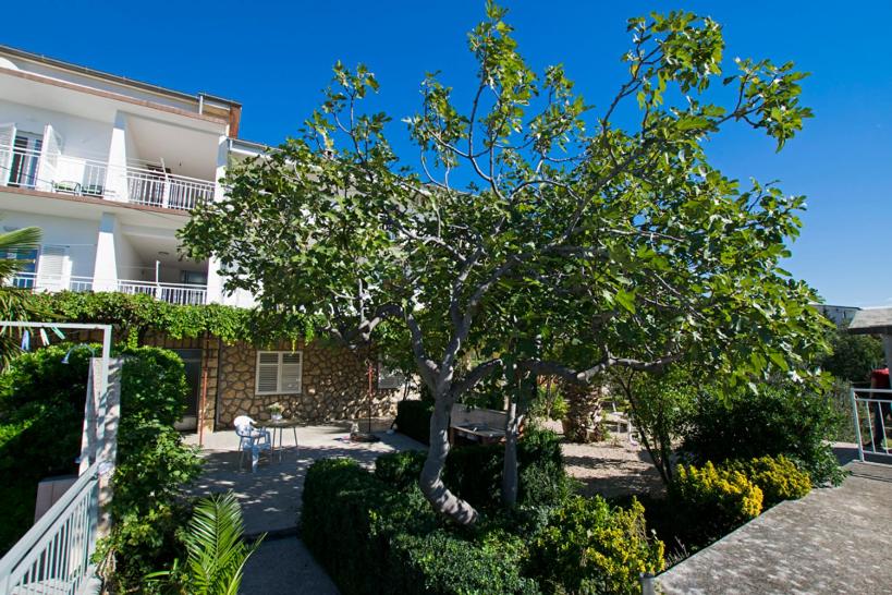 Beachfront Apartment Duda - Appartamento Con Vista Mare