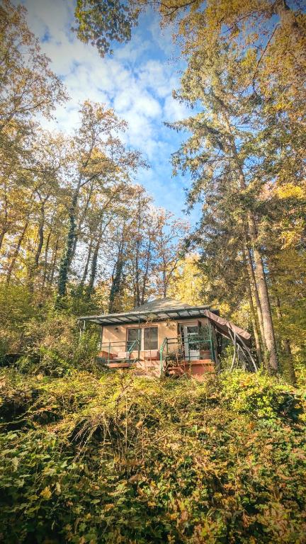 Příroda nedaleko apartmánu