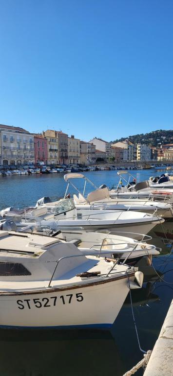 un groupe de bateaux est amarré dans un port dans l'établissement Bathyscaphe sympathique, à Sète