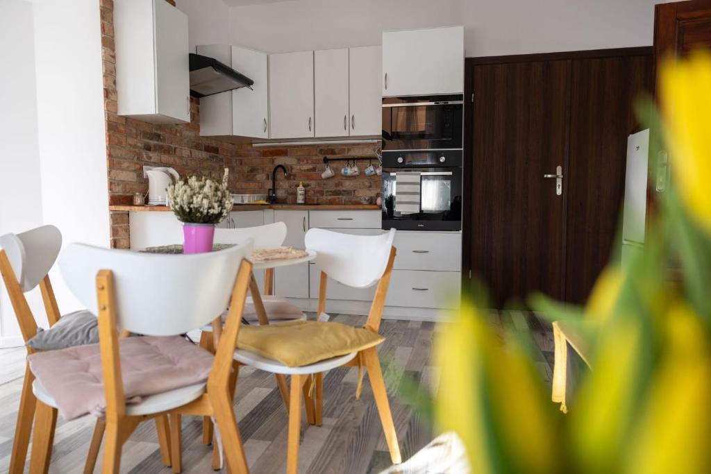 Kuchyňa alebo kuchynka v ubytovaní Apartamenty pod Kicarzem