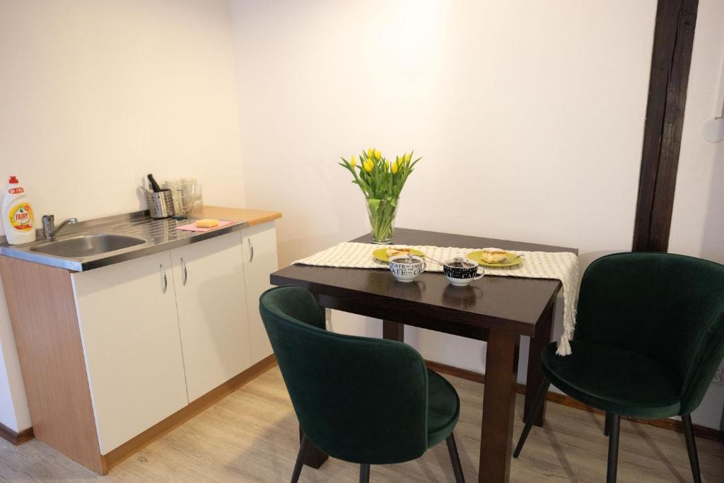 Kuchyňa alebo kuchynka v ubytovaní Apartamenty pod Kicarzem