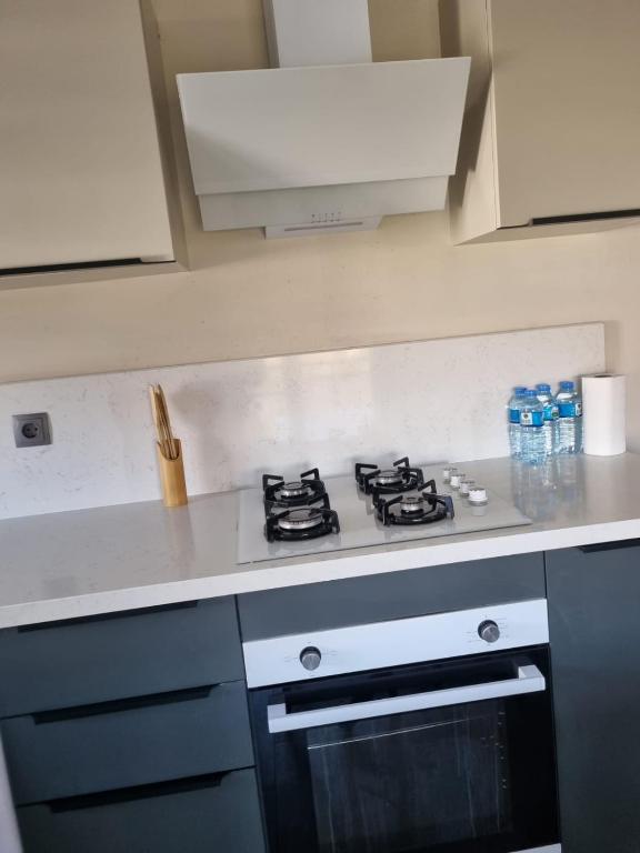 Kuchyň nebo kuchyňský kout v ubytování Alis Home Pamukkale
