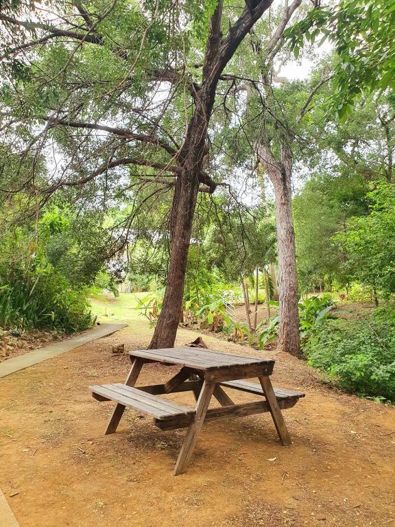 Zahrada ubytování Appartement T2 lumineux, confortable et spacieux à Saint-Anne proche piscine et plage de l'Anse Caritan