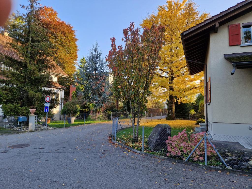 Zahrada ubytování Swiss Chalet direkt am Thunersee